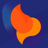 Budget Planner Pro pc