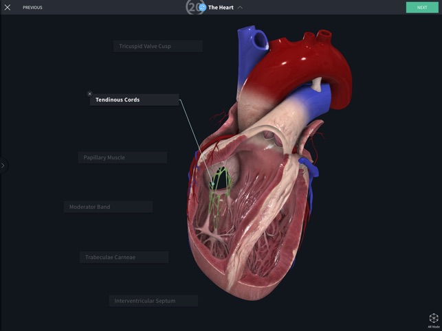 Complete Anatomy 19 for iPad(圖6)-速報App