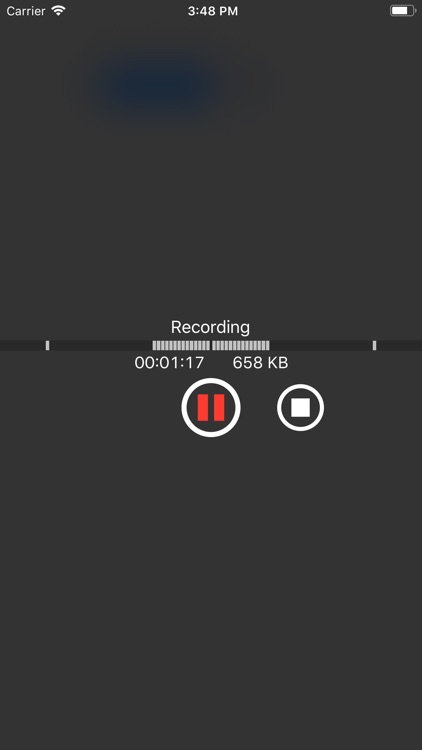 You Record Pro screenshot-3