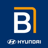 현대자동차 블루멤버스 PC 용