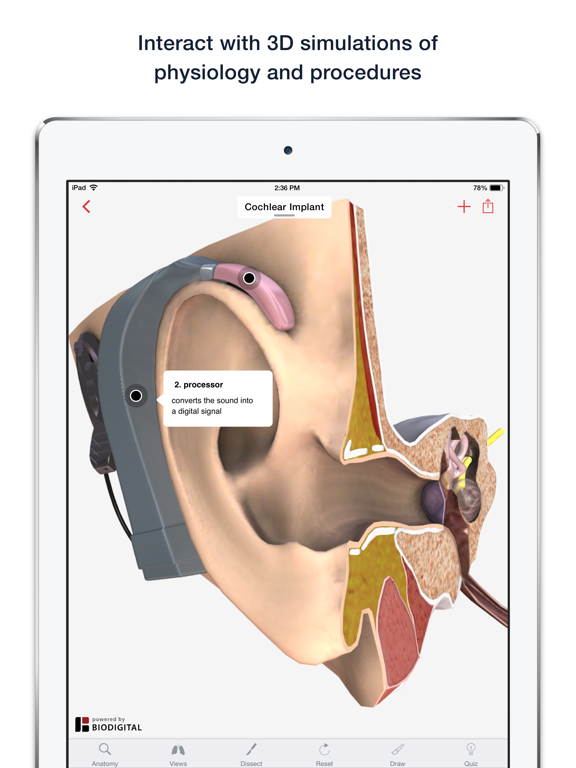 BioDigital Human - Anatomy and Health Conditions in 3D! screenshot