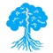 Download the app to view schedules & book sessions at Tree of Life Wellness Center