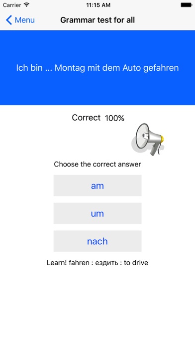 German exercises, test grammar screenshot 2