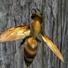 Top 39 Games Apps Like Bee Nest Simulator Full - Best Alternatives