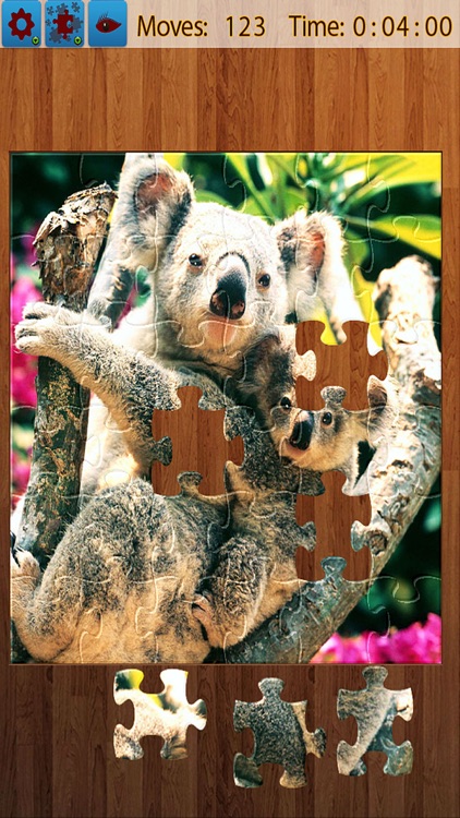 Jigsaw Puzzle All In One
