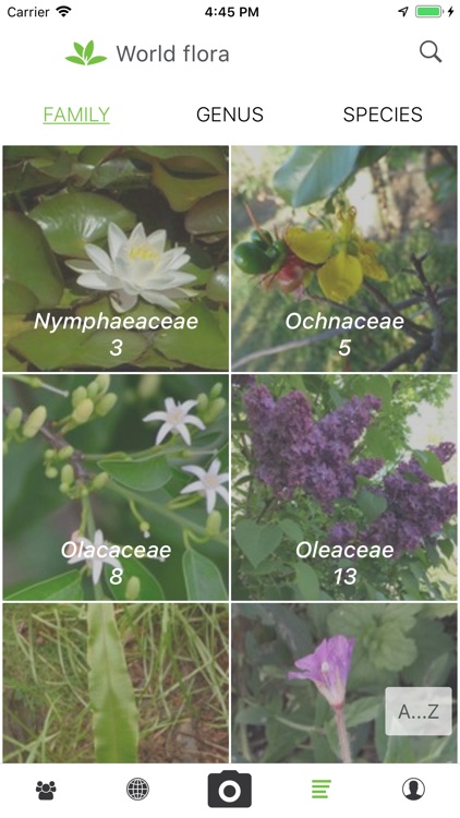 PlantNet screenshot-4