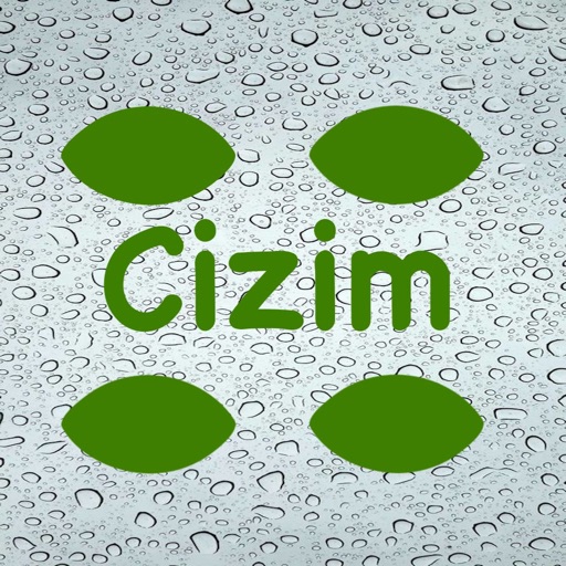 Cizim