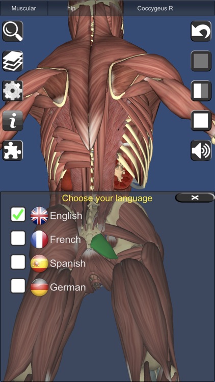 3D Anatomy screenshot-6