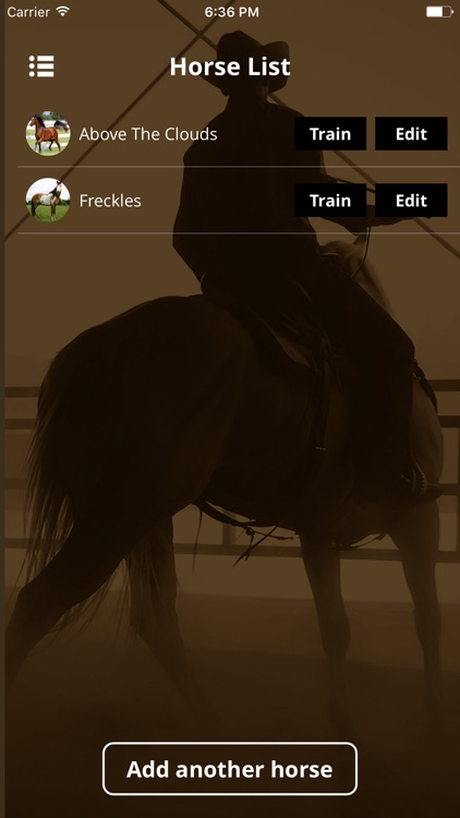 WS Horse Training Checklist
