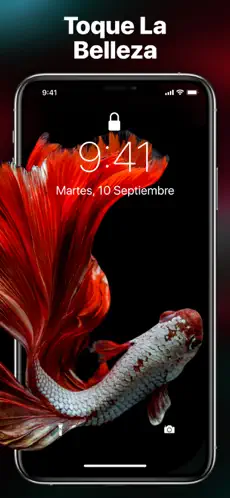 Imágen 2 Fondos De Pantalla Launcher 4K iphone