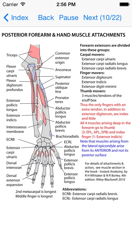 Anatomy Lectures and MCQs screenshot-3