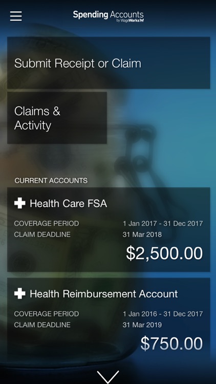 Spending Account (CHSA)