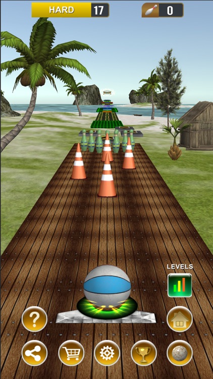Endless Bowling Paradise screenshot-7