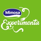 Mimosa Experimenta