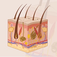 Learn Integumentary System pour PC