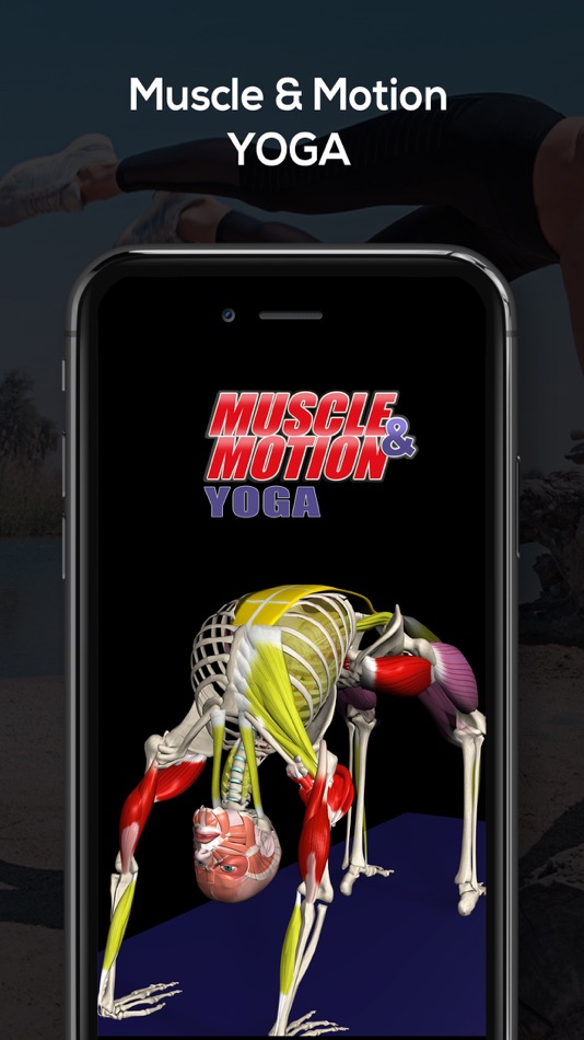 Muscle and motion. Muscle Motion. Muscleandmotion на русском. Взлом muscle Motion. Yoga_by_muscle_and_Motion_v2.2.5_Premium.APK.