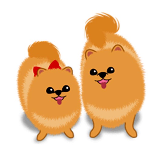 Daughter And Mother Pomeranian