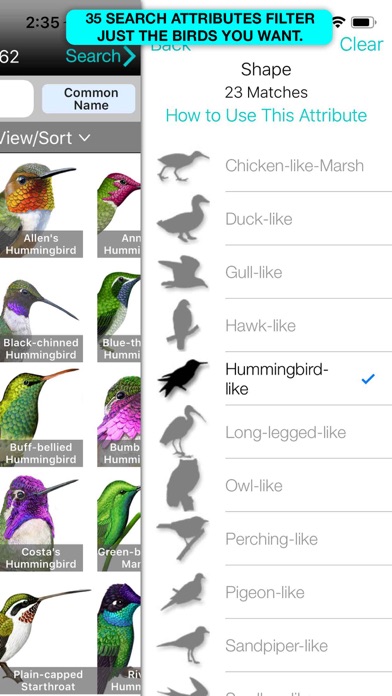 iBird Plus Guide to Birdsのおすすめ画像8