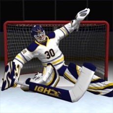 Activities of Hockey Games 3D