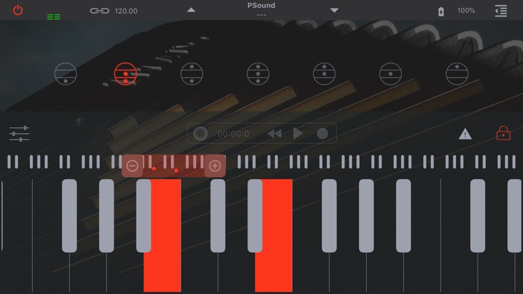 Accordion Vintage screenshot-0