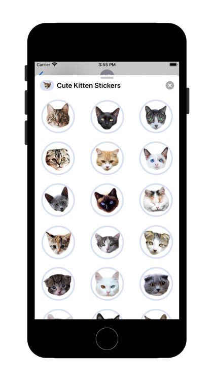 Cute Kitten - Stickers