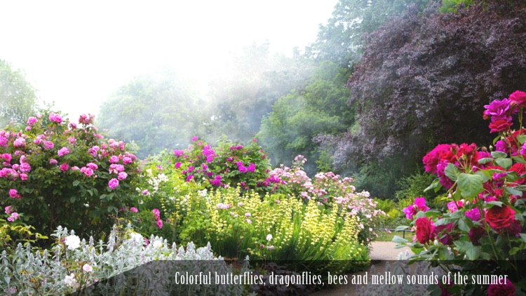 Summer Ambience HD