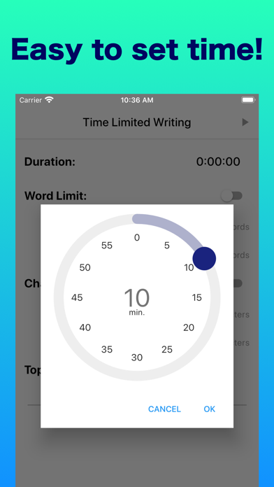Time Limited Writing screenshot 2