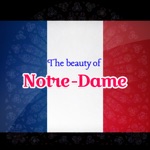 The Beauty of Notre-Dame Paris