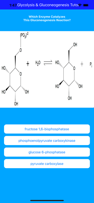 Glycolysis Glucogenesis Tutor(圖4)-速報App