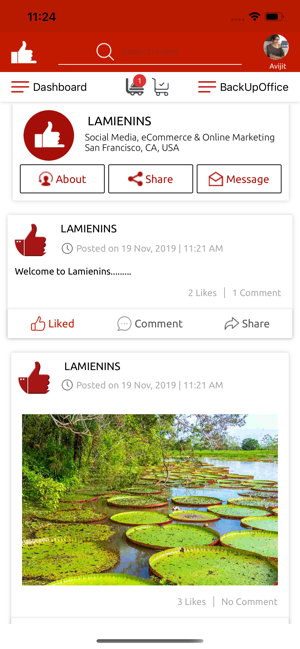 Lamienins(圖1)-速報App