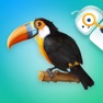 Get Animal Habitats & Ecosystems for iOS, iPhone, iPad Aso Report