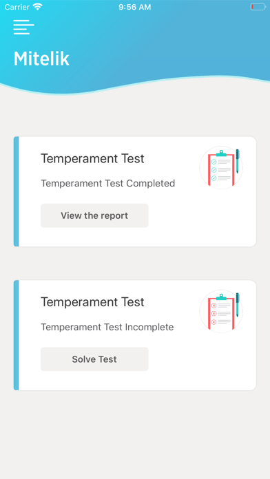 Mitelik screenshot 2