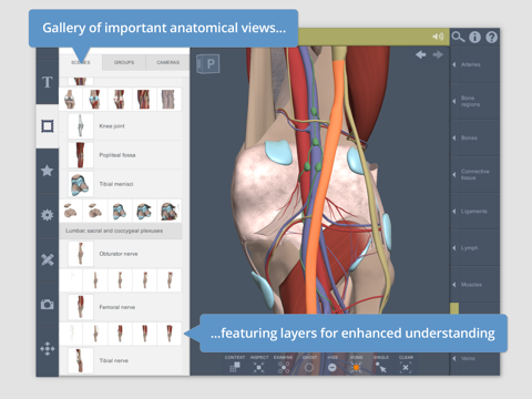 Knee: 3D Real-time screenshot 2