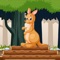 Kangaroo Escape – Free