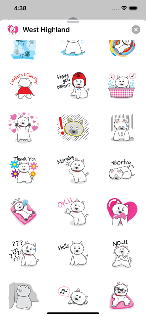 West Highland White Terrier+(圖2)-速報App