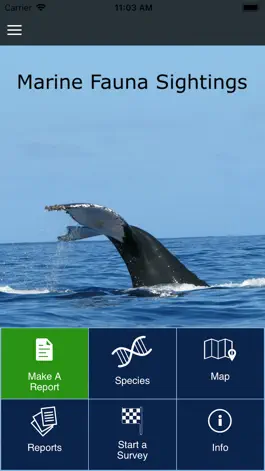 Game screenshot Marine Fauna sightings mod apk