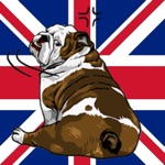 British Bulldog Icon Sticker