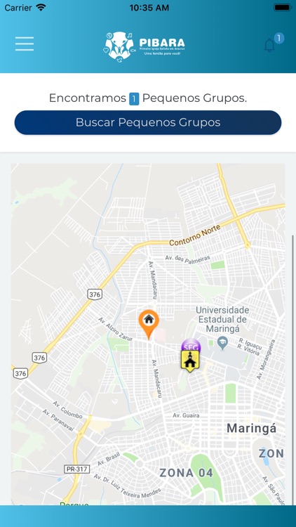 Portal PIBARA screenshot-5