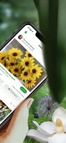 Screenshot 2 PlantSnap: identifica plantas iphone
