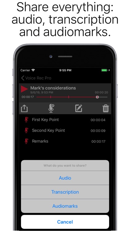 Voice Rec Pro screenshot-6
