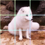 Animal - Sliding Square Puzzle
