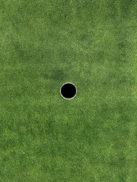 DIGICORO Hole screenshot-3