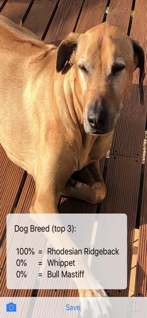 TPDogBreeds