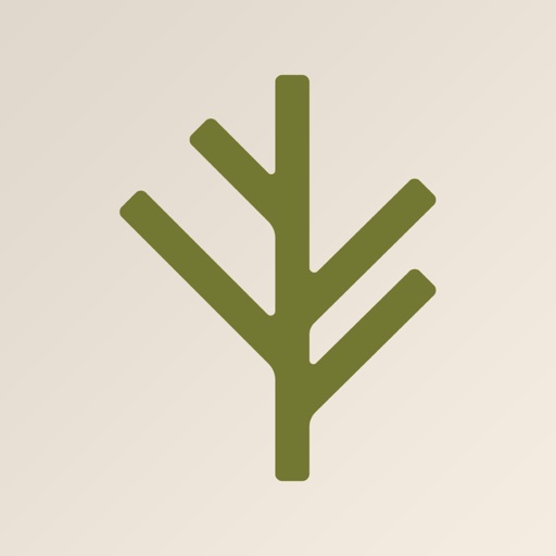 Branch Insurance