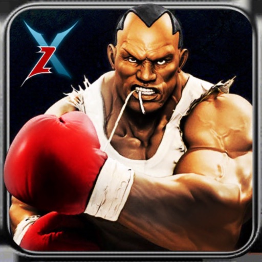 Real 3D Boxing Punch Pro icon