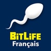 BitLife Français