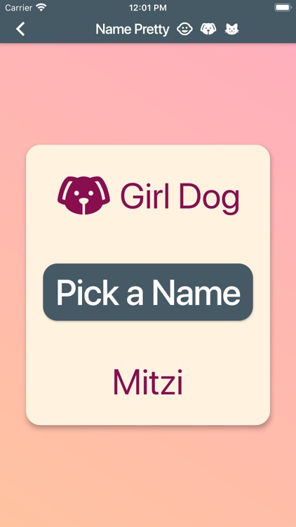 Name Pretty screenshot-4