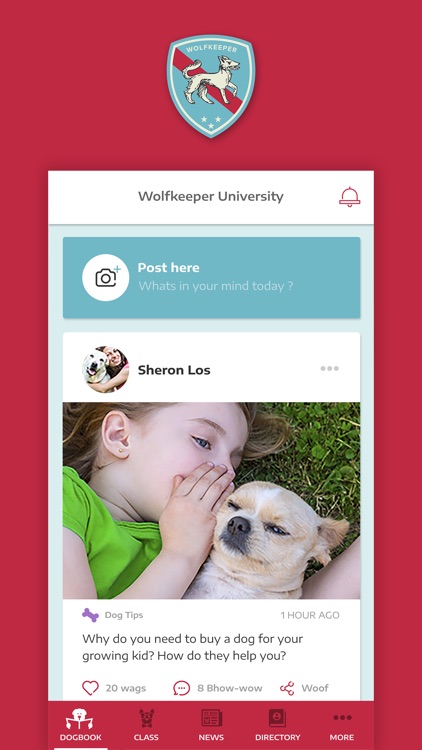 Wolfkeeper University screenshot-4