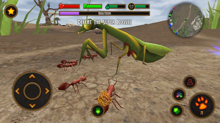 Fire Ant Simulator screenshot-4