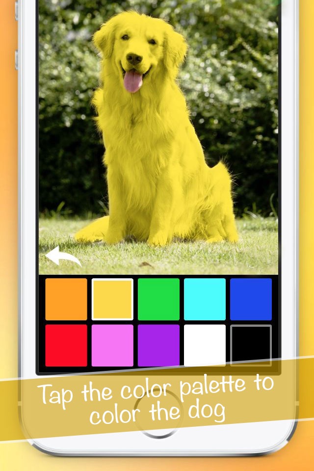 Color Zoo - Learn colors screenshot 2